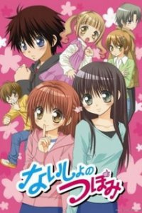 Секреты Цубоми (2008)